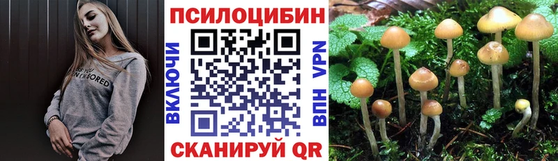 где купить   Нурлат  hydra зеркало  Галлюциногенные грибы Magic Shrooms 